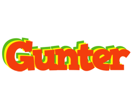 Gunter bbq logo