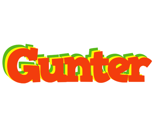 Gunter bbq logo