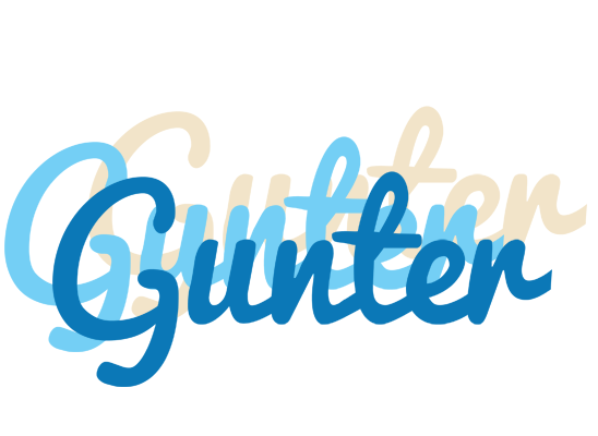 Gunter breeze logo