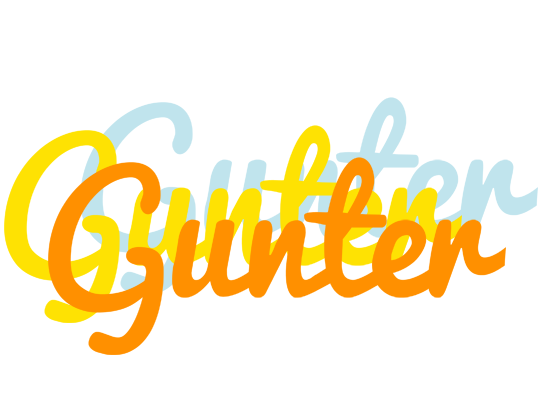 Gunter energy logo