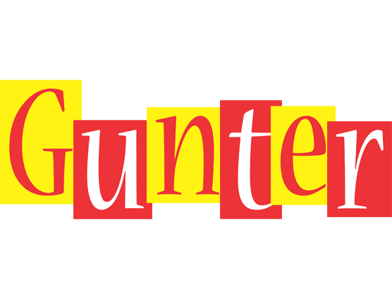 Gunter errors logo