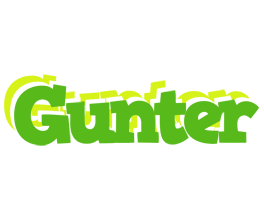 Gunter picnic logo