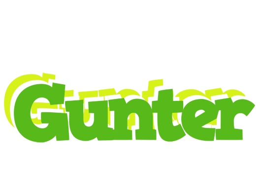 Gunter picnic logo