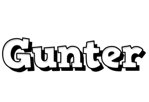 Gunter snowing logo