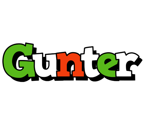 Gunter venezia logo