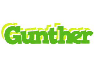 Gunther picnic logo