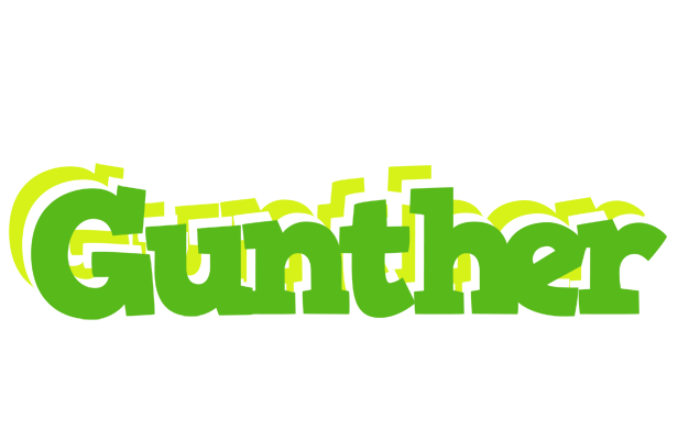 Gunther picnic logo