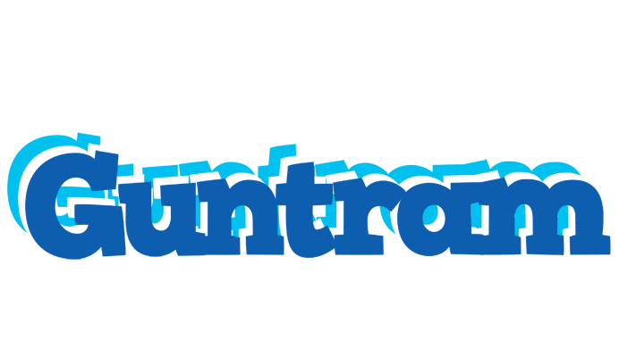 Guntram business logo