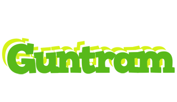 Guntram picnic logo