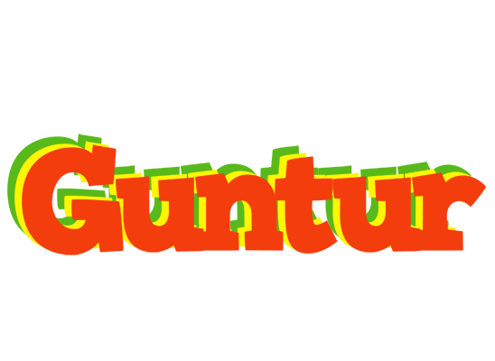 Guntur bbq logo
