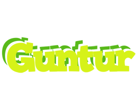 Guntur citrus logo