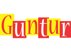 Guntur errors logo