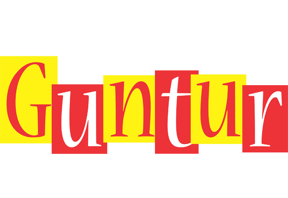 Guntur errors logo