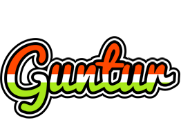 Guntur exotic logo
