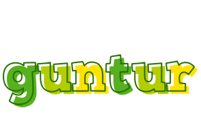 Guntur juice logo