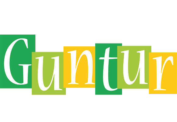 Guntur lemonade logo