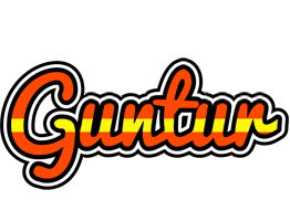 Guntur madrid logo