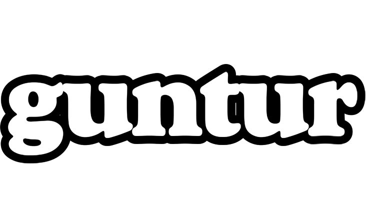 Guntur panda logo