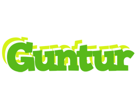 Guntur picnic logo