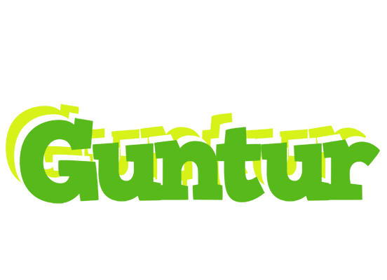 Guntur picnic logo