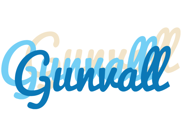 Gunvall breeze logo