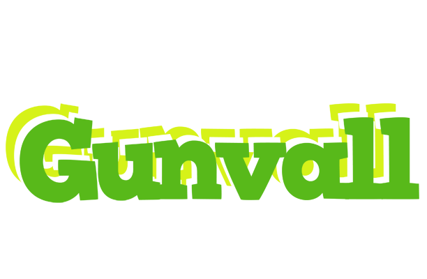 Gunvall picnic logo