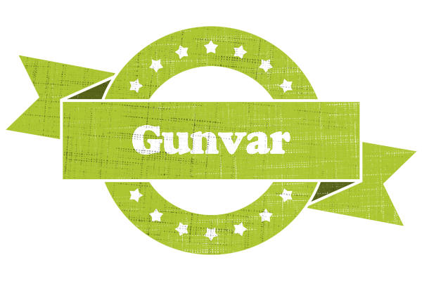 Gunvar change logo