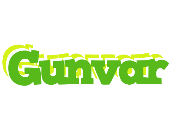 Gunvar picnic logo