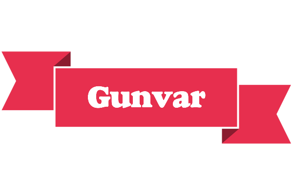 Gunvar sale logo