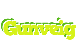 Gunveig citrus logo