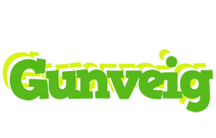 Gunveig picnic logo