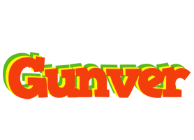 Gunver bbq logo