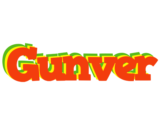Gunver bbq logo