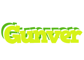 Gunver citrus logo