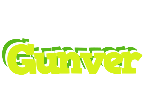 Gunver citrus logo