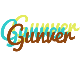 Gunver cupcake logo