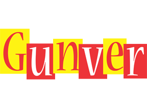 Gunver errors logo