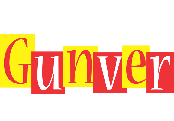 Gunver errors logo