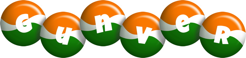 Gunver india logo