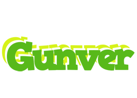 Gunver picnic logo