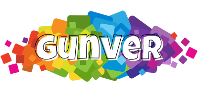 Gunver pixels logo