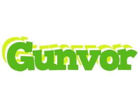 Gunvor picnic logo