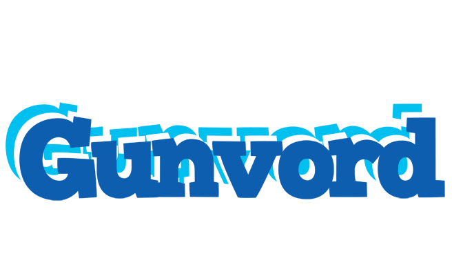 Gunvord business logo