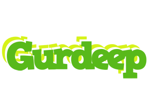 Gurdeep picnic logo