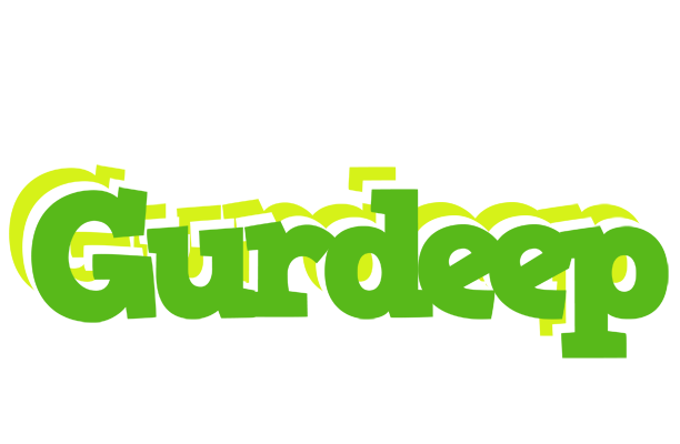 Gurdeep picnic logo