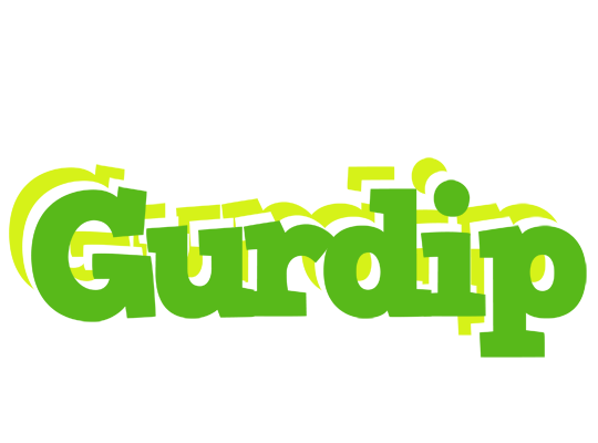 Gurdip picnic logo