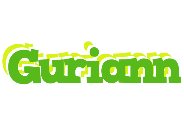 Guriann picnic logo
