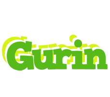 Gurin picnic logo