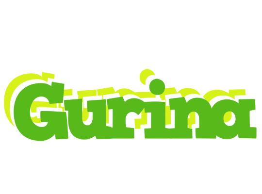 Gurina picnic logo
