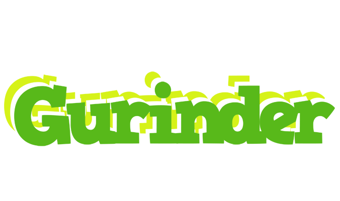 Gurinder picnic logo